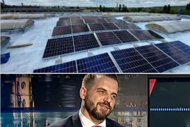 litigiile-din-casa-verde-fotovoltaice:-implicarea-comisiei-afm,-trustee-capital-ifn-Și-bnr