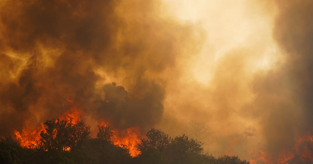 Fanii confuzi ai politicii starnesc incendiile din sudul Europei