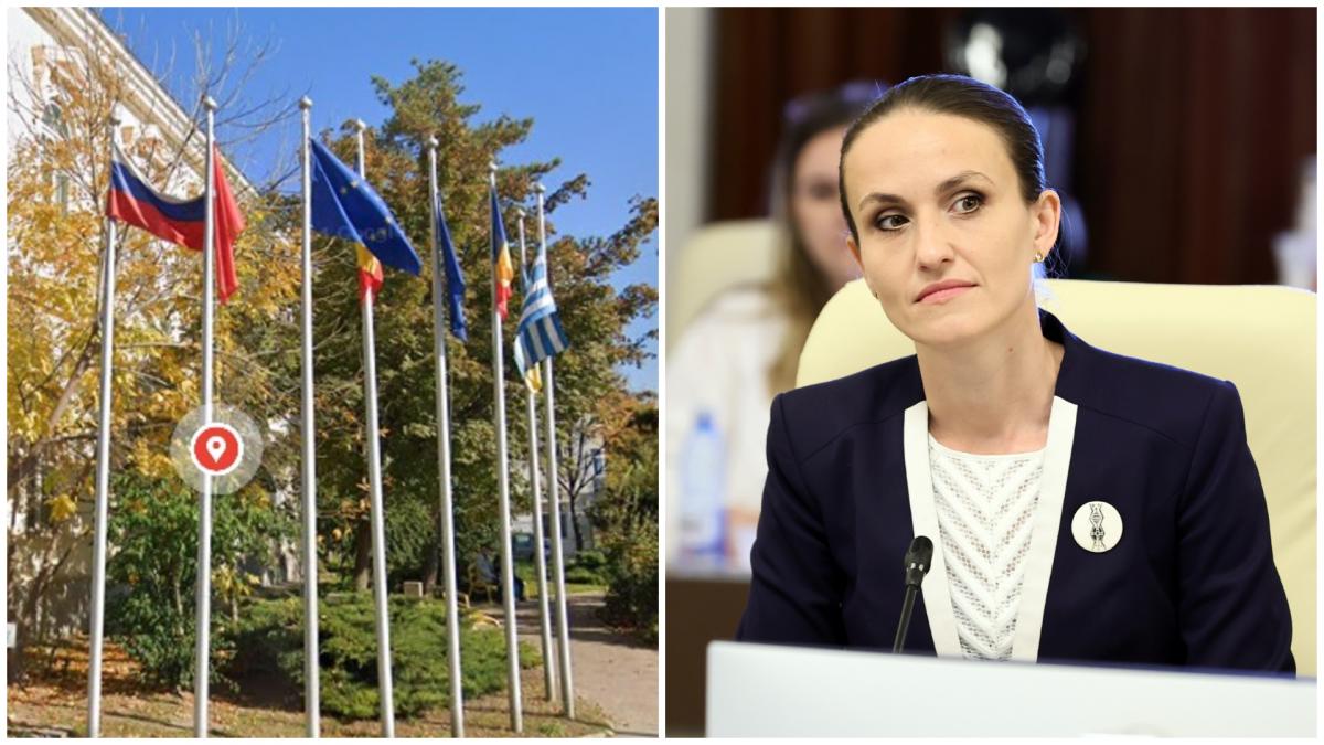 Oana Toiu Steagul Rusiei de la Muzeul Tulcea a fost indeprtat