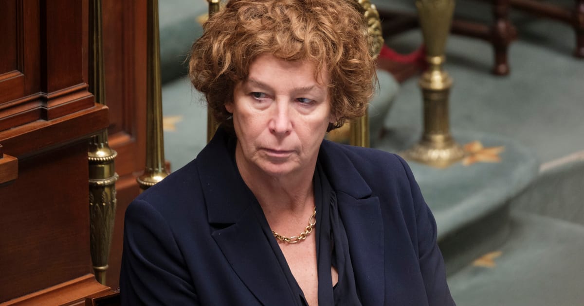 Fostul europarlamentar transgender paraseste misiunea din SUA
