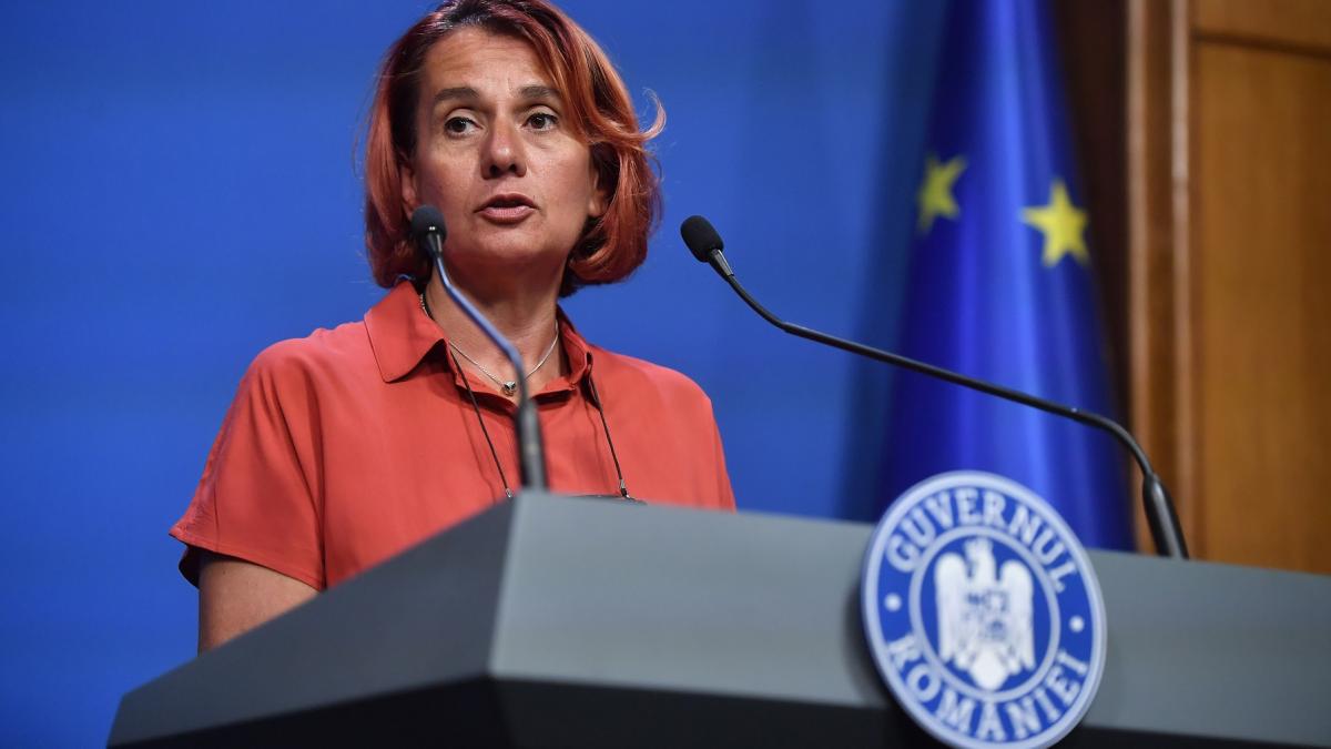 Parlamentul a acceptat candidatura Ioanei Dogioiu la Radio Public