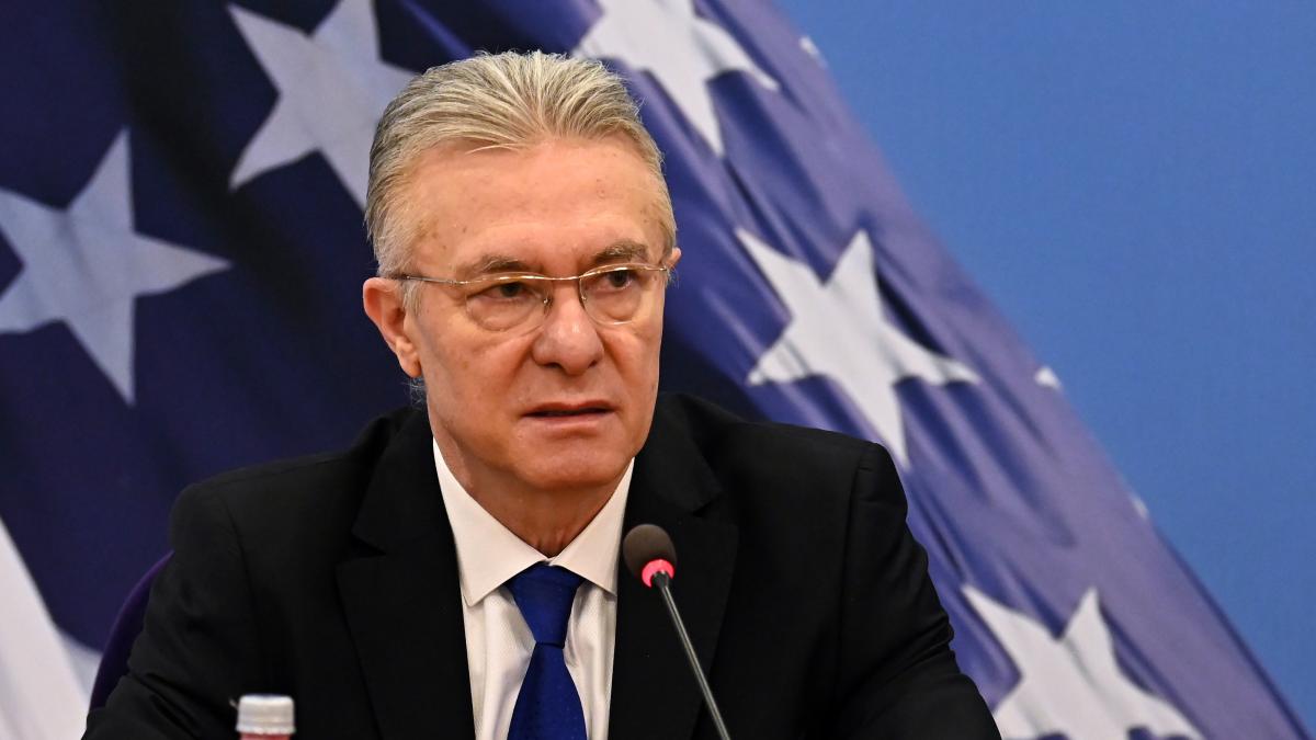 Cristian Diaconescu despre criza din NATO Singura alianta in care membrii s au atacat intre ei este