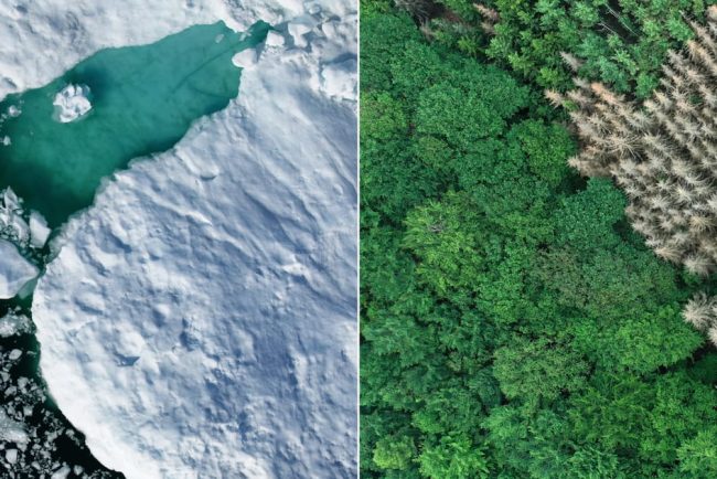 Groenlanda sau Islanda Stii care e diferenta