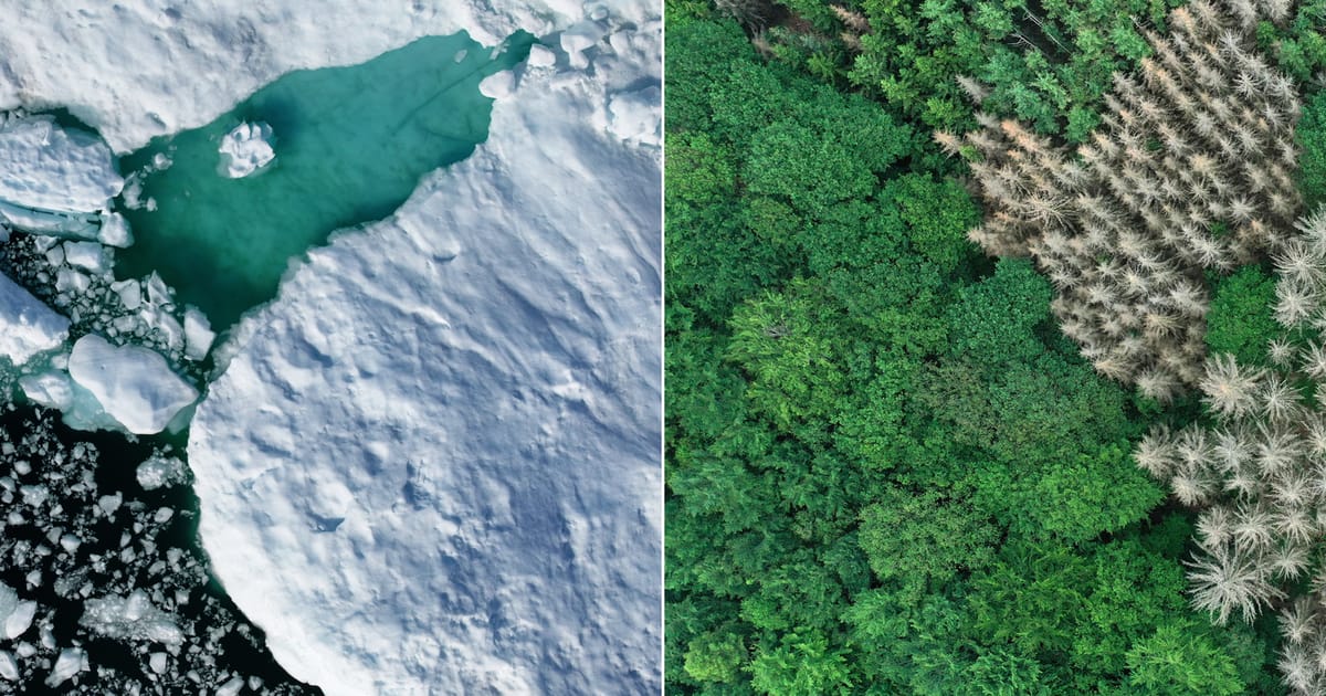 Groenlanda sau Islanda Stii care e diferenta