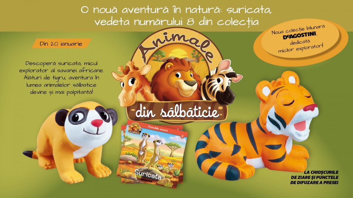 O noua aventura in natura suricata vedeta editiei cu nr 8 din colecia Animale salbatice