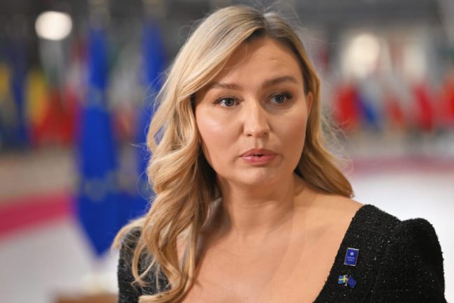 Vicepremierul suedez Liderii europeni trebuie sa devina mai activi si sa nu mai astepte ajutor din partea Bruxelles ului si a Statelor Unite