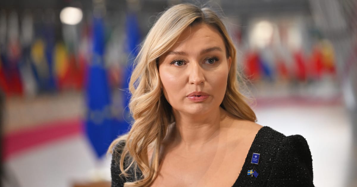 Vicepremierul suedez Liderii europeni trebuie sa devina mai activi si sa nu mai astepte ajutor din partea Bruxelles ului si a Statelor Unite
