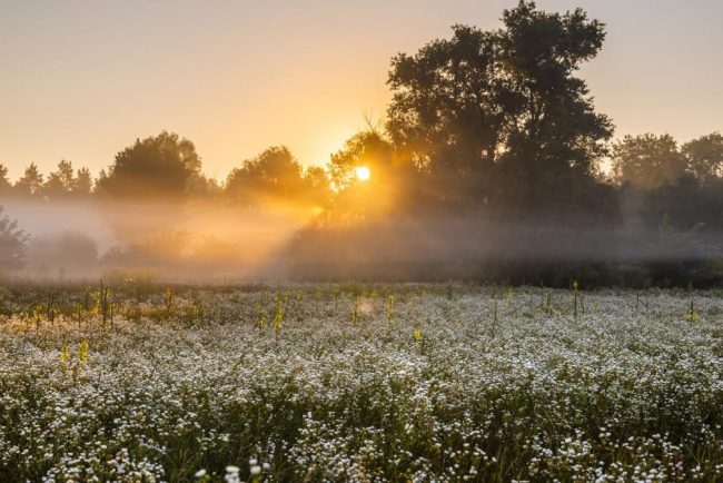 ANM prezice temperaturi de 18 grade Celsius si vreme senina in intreaga tara pentru saptamana viitoare