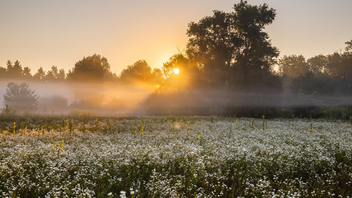 ANM prezice temperaturi de 18 grade Celsius si vreme senina in intreaga tara pentru saptamana viitoare
