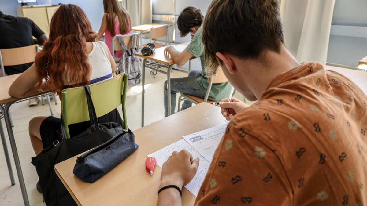 Teme de Matematica si Istorie pentru simularea examenului de Bacalaureat 2026