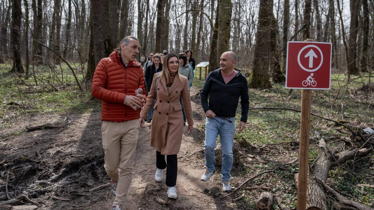 Un nou pas pentru declararea Padurii Baneasa ca zona protejata Buzoianu Plamanul verde pentru