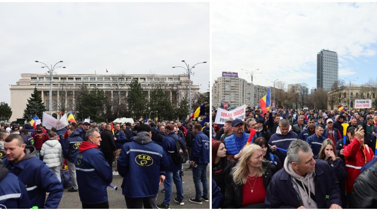 Protest in Piata Victoriei impotriva masurilor Guvernului la care au participat peste 10000 de persoane
