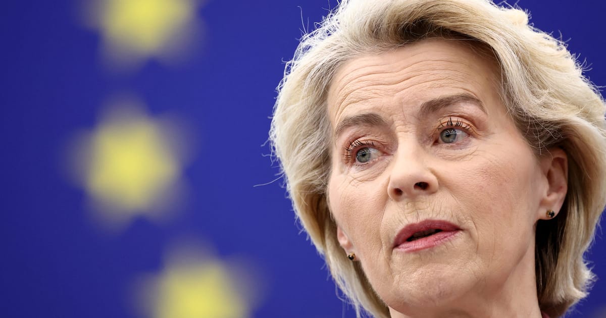 Von der Leyen minimizeaza conflictele legate de dereglementare cu conservatorii germani