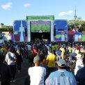 Expertii trag un semnal de alarma in legatura cu cresterea fraudelor online legate de Cupa Mondiala de fotbal
