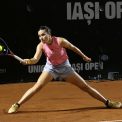 Gabriela Ruse a fost eliminata in semifinalele turneului de la Bad Homburg