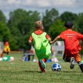 O federaie de fotbal puternic caut viitoarele vedete printr un program de Inteligenta Artificiala