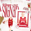 Un jucator de la U BT Cluj Napoca a semnant cu echipa castigatoare a Eurocup ului de anul acesta