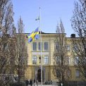 In interiorul luptei Stockholm ului pentru a proteja copiii de bande